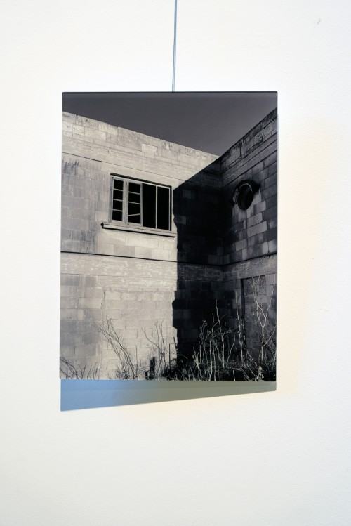 Silent Landscapes, fot. M. Sienkiewicz