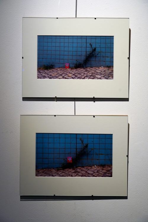 Silent Landscapes, fot. M. Sienkiewicz