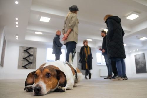 Wystawa Soni Ruciak, pt. Słowa, które nie padły