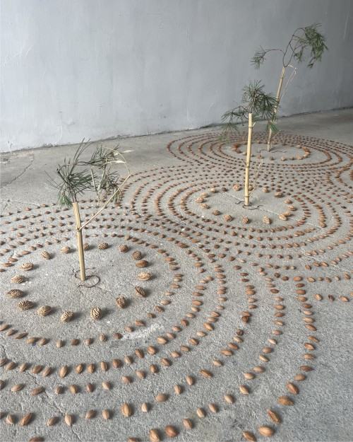 Stefania M.Jankowiak-Kręgi sagittae