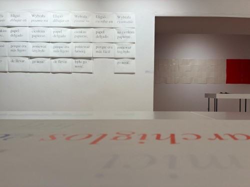 Eugènia Agustí „Soie et Carbone. Papier i Grafit. Pokazać niewidzialne”