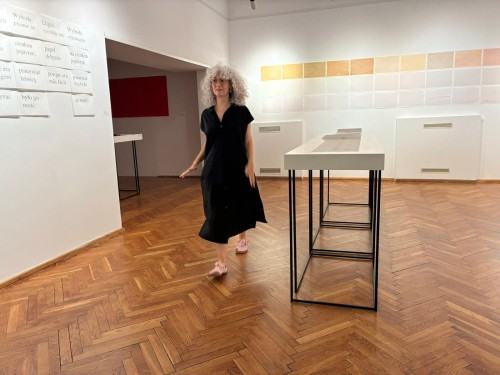 Eugènia Agustí „Soie et Carbone. Papier i Grafit. Pokazać niewidzialne”
