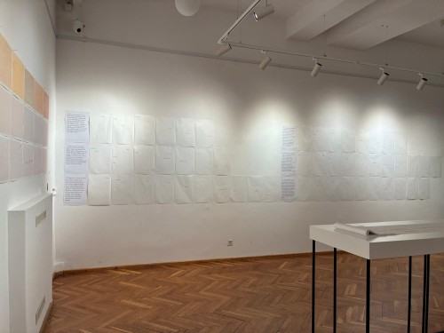 Eugènia Agustí „Soie et Carbone. Papier i Grafit. Pokazać niewidzialne”