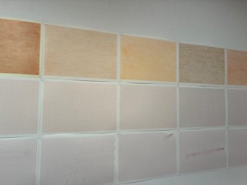 Eugènia Agustí „Soie et Carbone. Papier i Grafit. Pokazać niewidzialne”