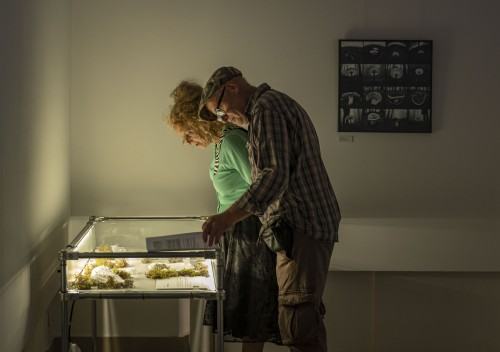 wystawa De Rerum Natura