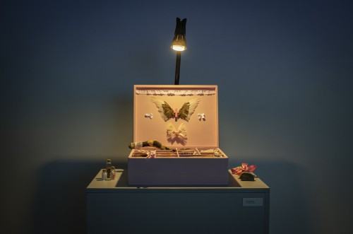 Wystawa De Rerum Natura | O naturze rzeczy