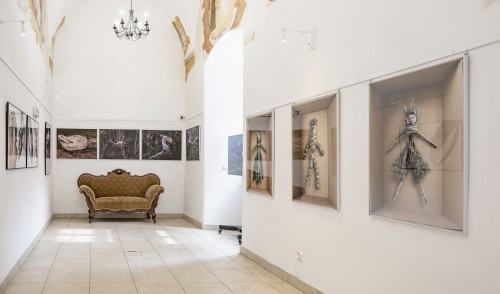 Wystawa De Rerum Natura | O naturze rzeczy