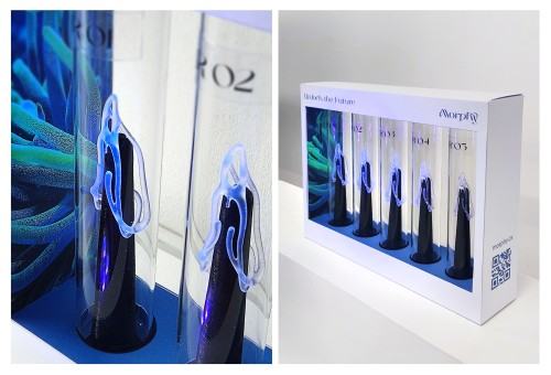 Praca dyplomowa Alicji Domańskiej