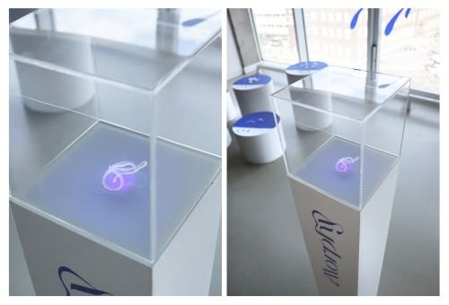 Praca dyplomowa Alicji Domańskiej