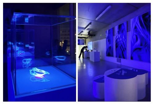 Praca dyplomowa Alicji Domańskiej