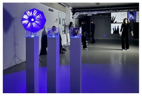 Praca dyplomowa Alicji Domańskiej