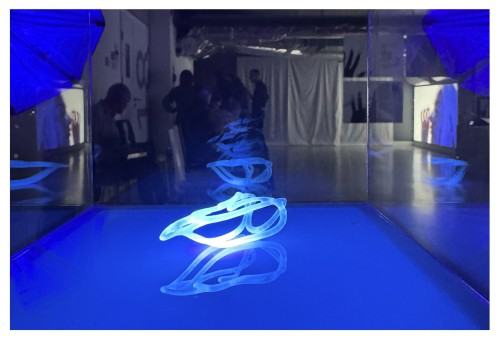 Praca dyplomowa Alicji Domańskiej