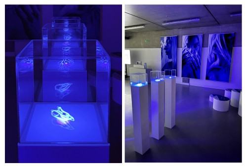 Praca dyplomowa Alicji Domańskiej