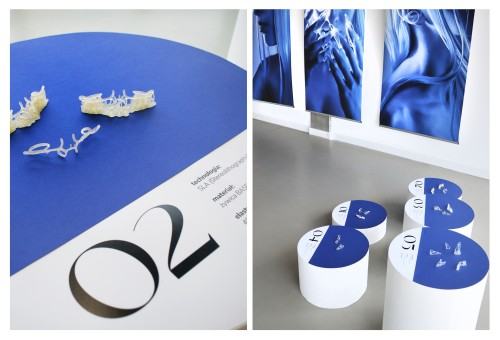 Praca dyplomowa Alicji Domańskiej