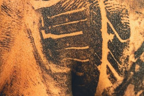 Zuzanna Dyrda, Ciało obce