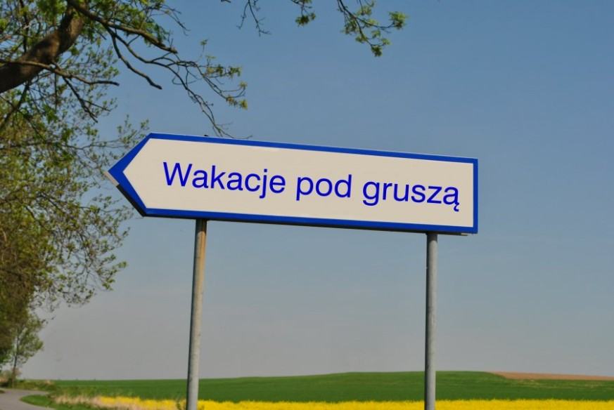 Wczasy pod gruszą