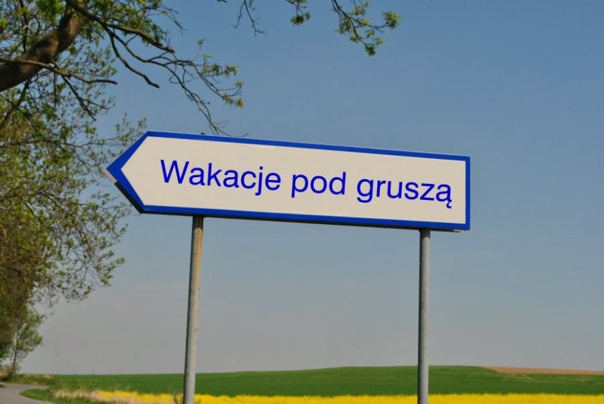 Wniosek o Gruszę 2024 Wniosek o Gruszę 2024
