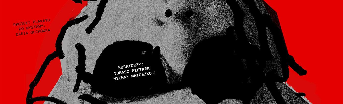 Daria Olchówka, Outsider kina - Jim Jarmusch