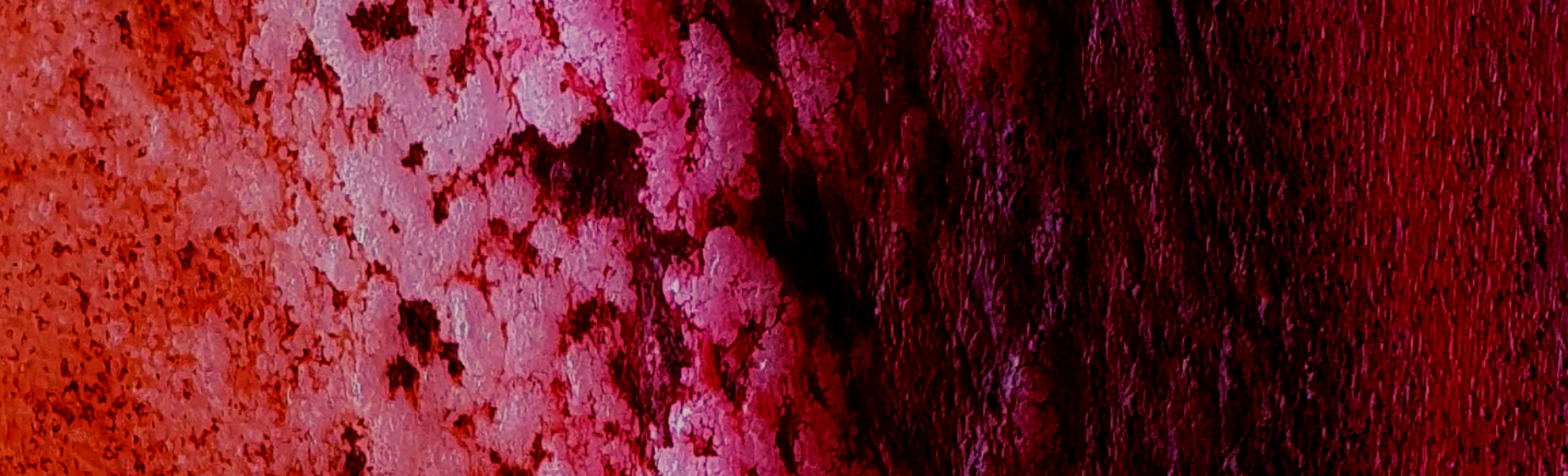 Terra Incognita 