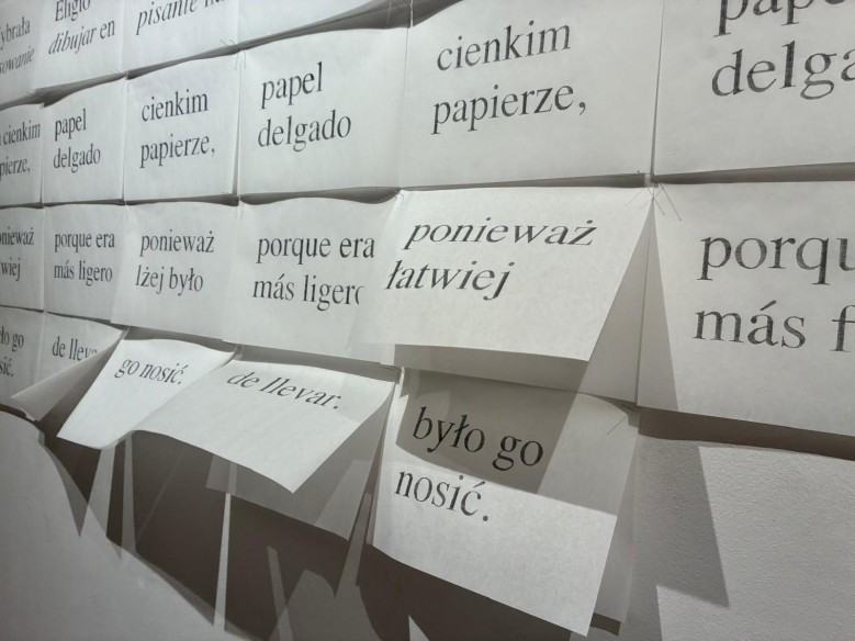 Eugènia Agustí „Soie et Carbone. Papier i Grafit. Pokazać niewidzialne”