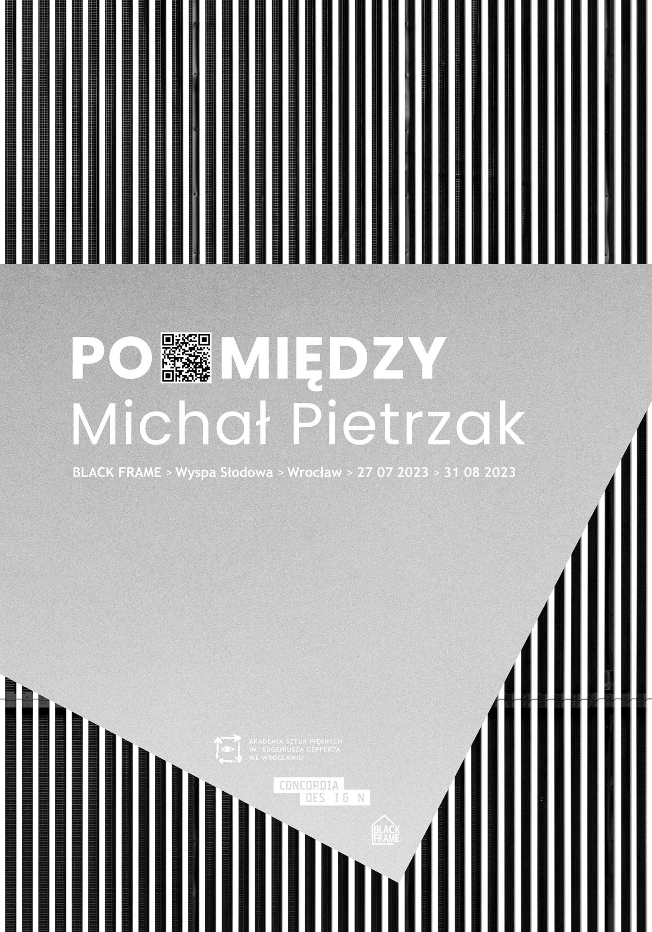 Michał Pietrzak Po Miedzy
