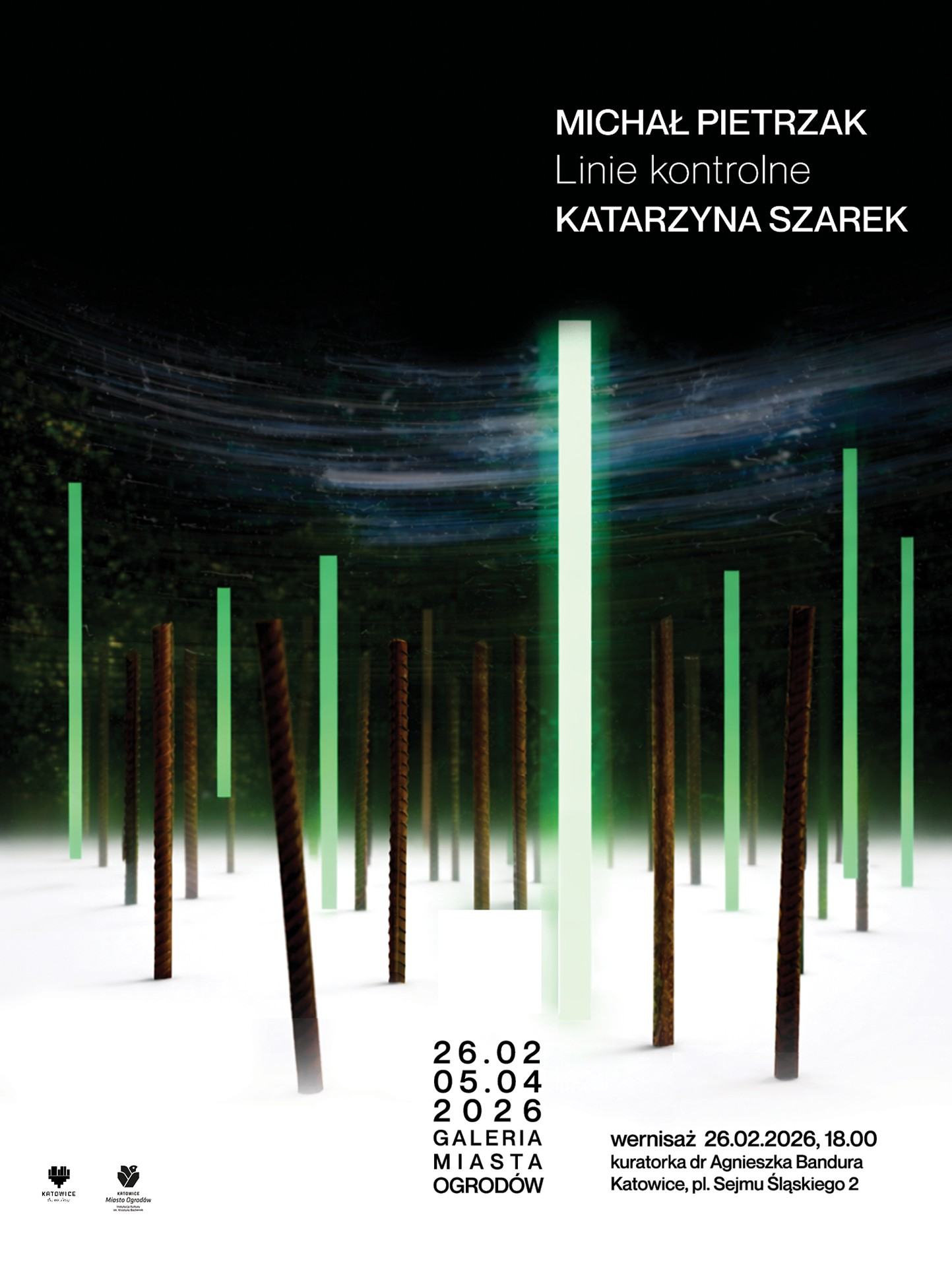 Michał Pietrzak | Linie kontrolne | Katarzyna Szarek