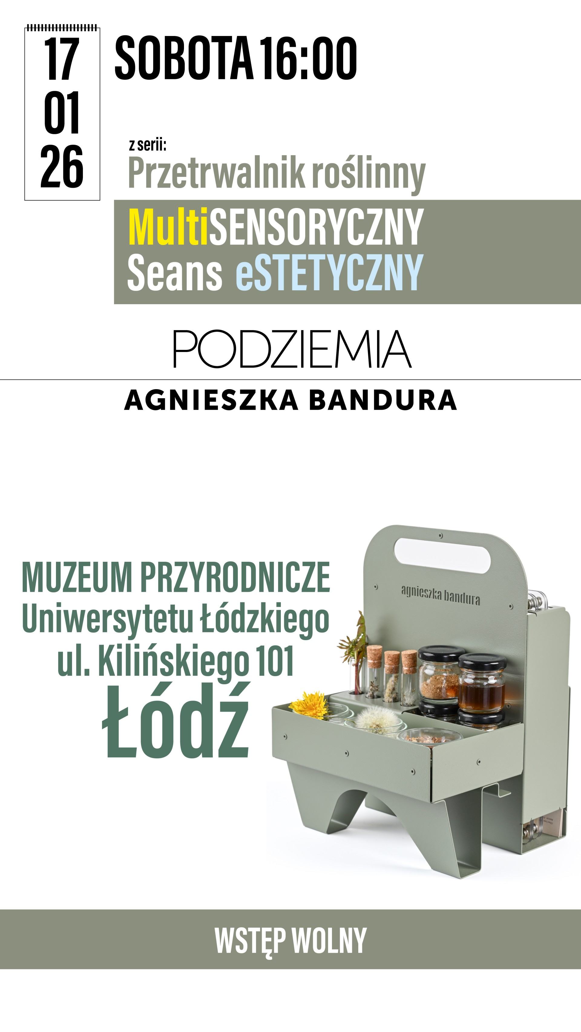 Przetrwalnik roślinny
