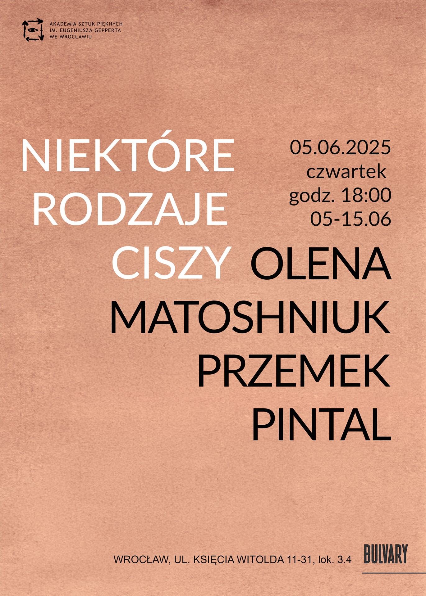 Olena Matoshniuk / Przemek Pintal | Niektóre rodzaje ciszy