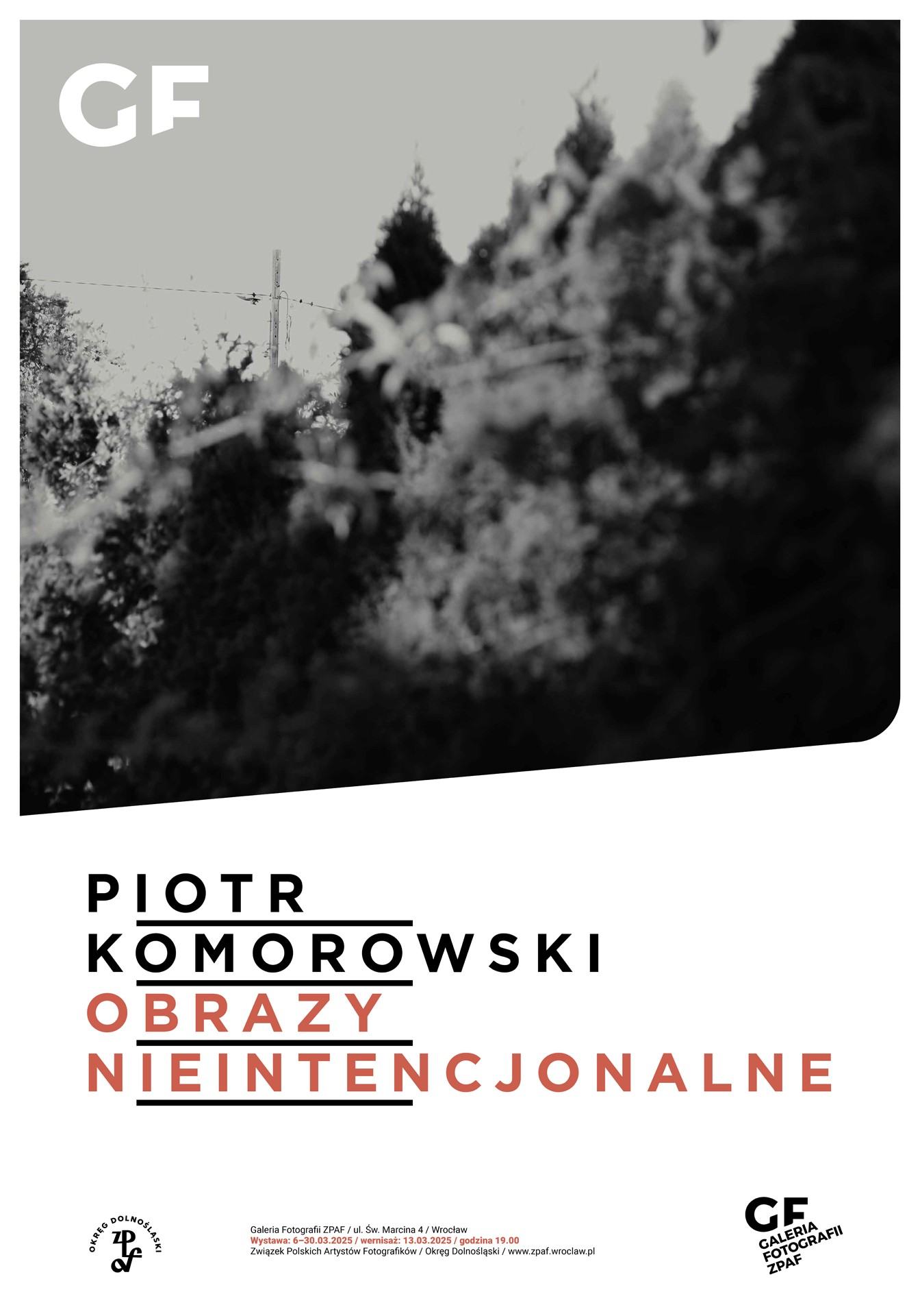 Piotr Komorowski