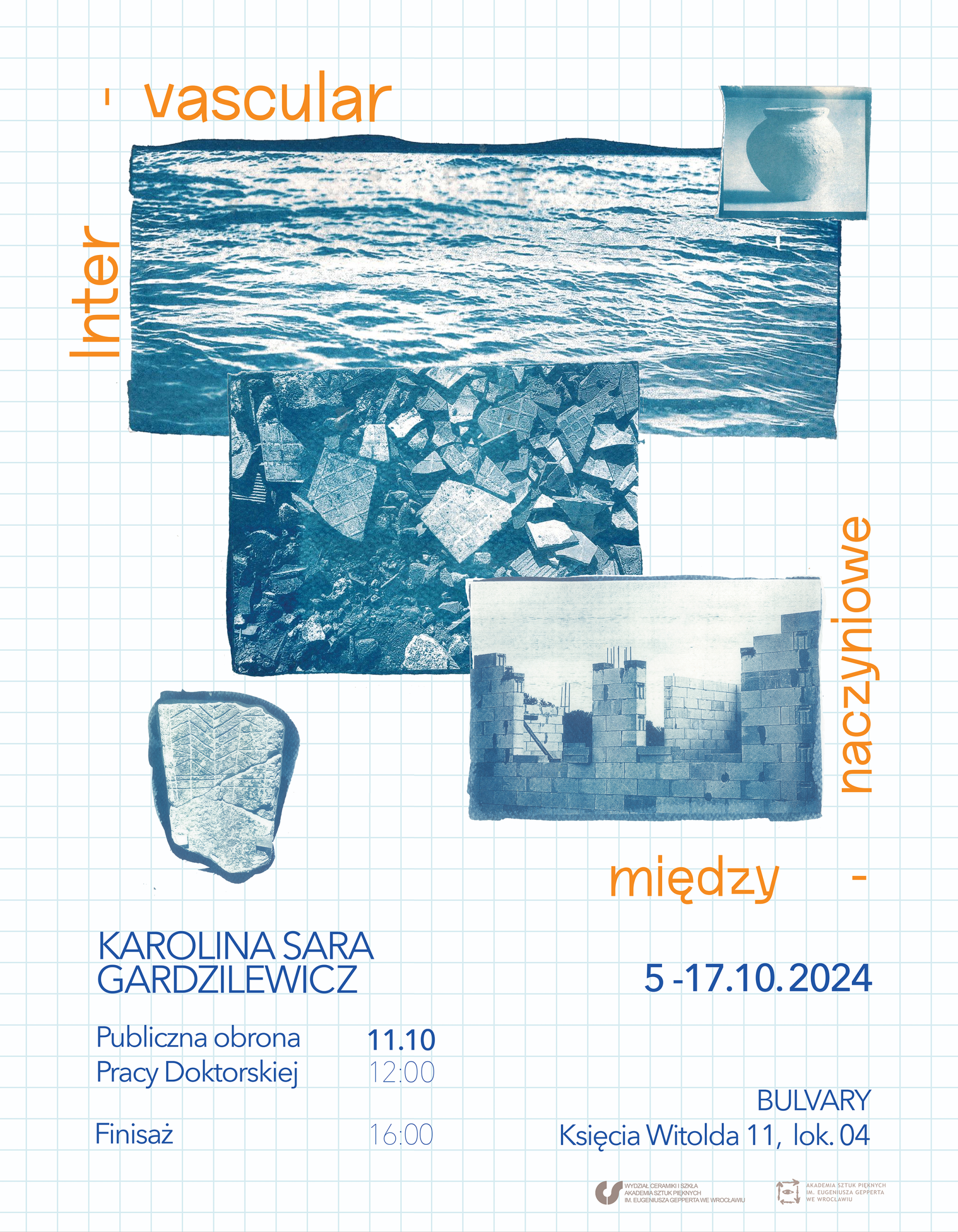 Intervascular / Miedzynaczyniowe, Karolina Sara Gardzilewicz