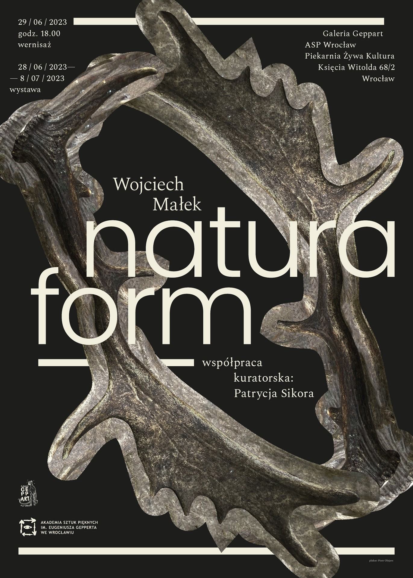 Wojciech Małek / Natura Form